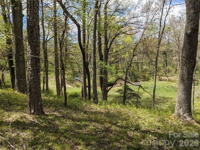 3.13 acres. 773 feet of stream frontage. Steps from the wellness - photo 14
