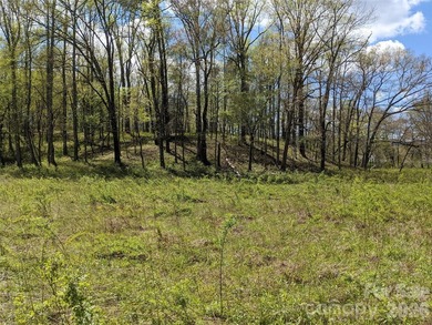 3.13 acres. 773 feet of stream frontage. Steps from the wellness - photo 15
