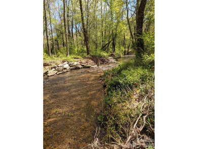 3.13 acres. 773 feet of stream frontage. Steps from the wellness - photo 16