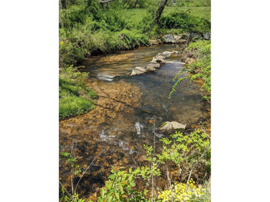 3.13 acres. 773 feet of stream frontage. Steps from the wellness - photo 19