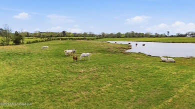 At the center of the property is a thoughtfully designed 7-stall - photo 9