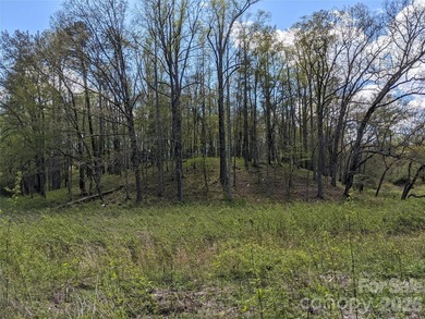 3.13 acres. 773 feet of stream frontage. Steps from the wellness - photo 21