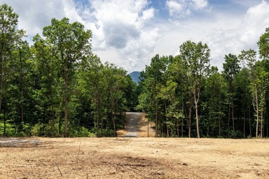 (private lake, pond, coastal) Acreage For Sale in Luray Virginia