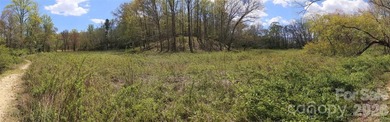 3.13 acres. 773 feet of stream frontage. Steps from the wellness - photo 22