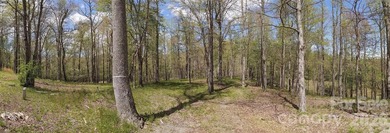 3.13 acres. 773 feet of stream frontage. Steps from the wellness - photo 28