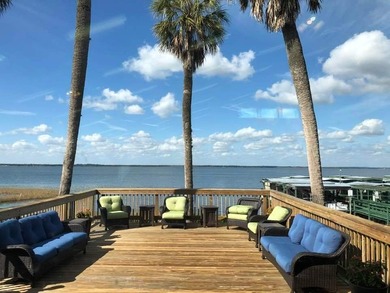 33217 Sand Dune Lane is located in beautiful Lake Griffin Harbor - photo 29