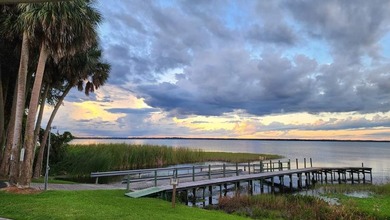 33217 Sand Dune Lane is located in beautiful Lake Griffin Harbor - photo 30