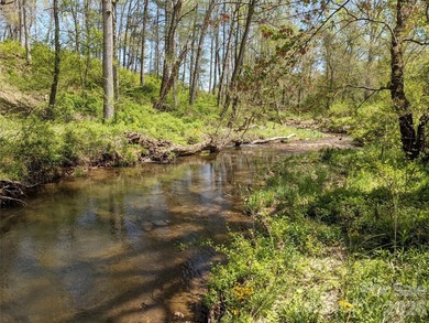 3.13 acres. 773 feet of stream frontage. Steps from the wellness - photo 31