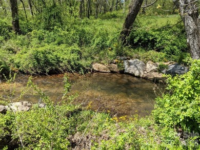 3.13 acres. 773 feet of stream frontage. Steps from the wellness - photo 33