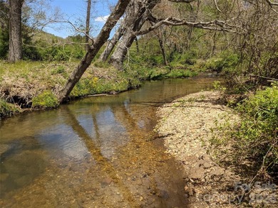 3.13 acres. 773 feet of stream frontage. Steps from the wellness - photo 40