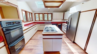 Stunning Mountain Views, Thoughtful Updates & Room to - photo 10