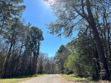 (private lake, pond, creek) Lot For Sale in Willis Texas