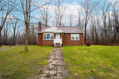 Lake Home For Sale in East Amherst, New York