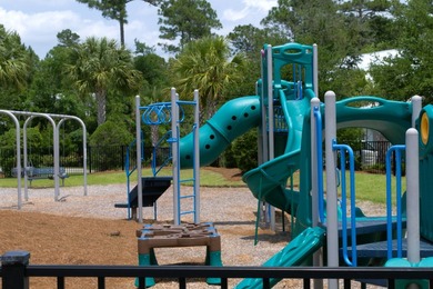 Come build your dream home in the thriving Freeport community of - photo 13