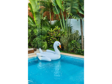 Located in one of Tulum's fastest growing residential areas - photo 30