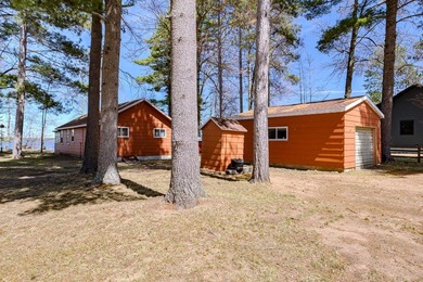 Enjoy lake life on the highly desirable Lake Nokomis chain with - photo 31