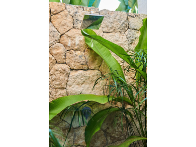 Located in one of Tulum's fastest growing residential areas - photo 43
