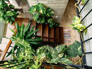Located in one of Tulum's fastest growing residential areas - photo 44