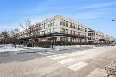 (private lake, pond, creek) Condo For Sale in Chicago Illinois