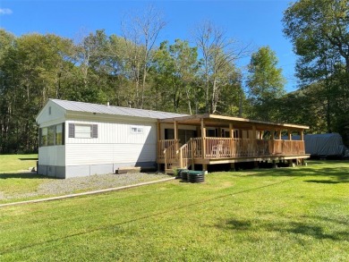 Lake Home For Sale in Hancock, New York