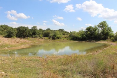 Lake Acreage For Sale in Cisco, Texas