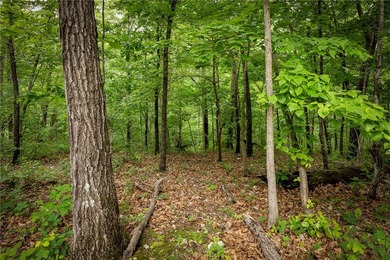 Tucked among the trees with direct access to the Lago Vista East - photo 20