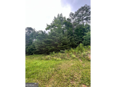 Lake Lot Sale Pending in White, Georgia