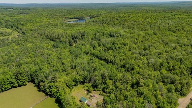 Charming Maine Cabin Retreat on 13.5 Acres Escape to the heart - photo 4