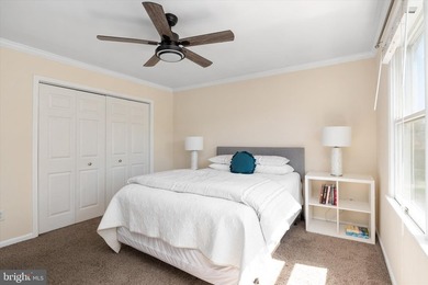 Looking for more space than you might expect on Kent Island? - photo 22
