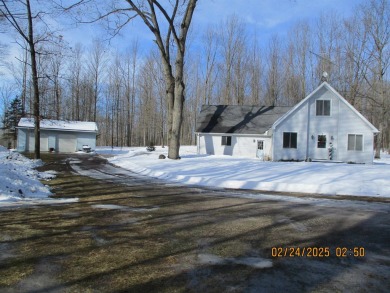 Lake Home For Sale in Lake, Michigan