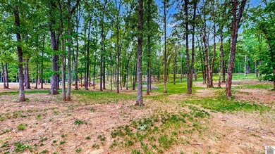 Tucked into a wooded setting just minutes from Kentucky Lake and - photo 34