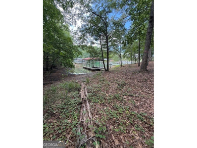 ACREAGE on the LAKE! Closest point of the Corp line is 39' from - photo 3