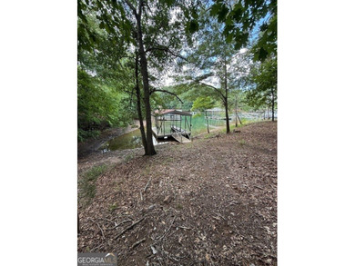 ACREAGE on the LAKE! Closest point of the Corp line is 39' from - photo 5