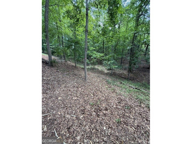 ACREAGE on the LAKE! Closest point of the Corp line is 39' from - photo 6