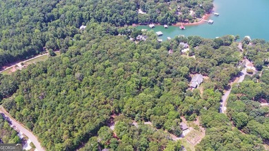 ACREAGE on the LAKE! Closest point of the Corp line is 39' from - photo 7