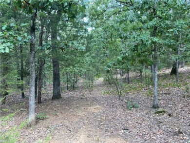 Lake Commercial For Sale in Blue Mountain, Arkansas