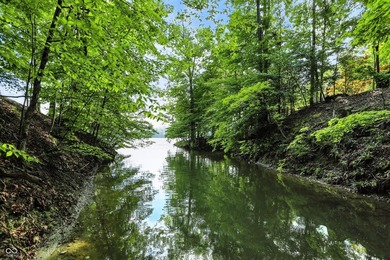 Beautiful view of Lamb Lake on 1.58 wooded acres. Nicely updated - photo 18