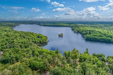 Imagine a cozy 4-bedroom, 2 bath main lodge, plus 2 charming - photo 20