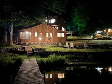 Imagine a cozy 4-bedroom, 2 bath main lodge, plus 2 charming - photo 34