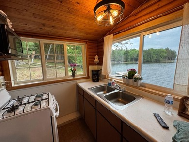 Imagine a cozy 4-bedroom, 2 bath main lodge, plus 2 charming - photo 43
