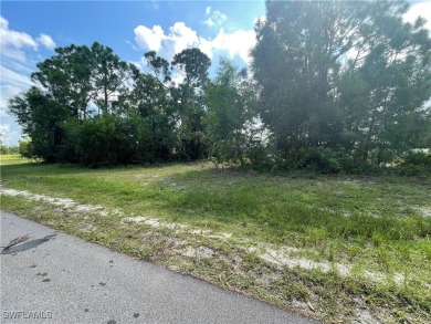 Welcome to Cape Coral FL! Discover the perfect canvas for your - photo 4
