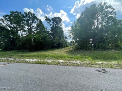 Welcome to Cape Coral FL! Discover the perfect canvas for your - photo 5