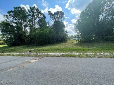 Welcome to Cape Coral FL! Discover the perfect canvas for your - photo 6