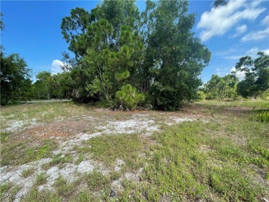Welcome to Cape Coral FL! Discover the perfect canvas for your - photo 8