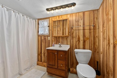 Imagine a cozy 4-bedroom, 2 bath main lodge, plus 2 charming - photo 48