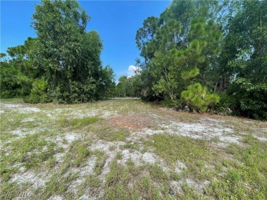 Welcome to Cape Coral FL! Discover the perfect canvas for your - photo 9