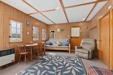 Imagine a cozy 4-bedroom, 2 bath main lodge, plus 2 charming - photo 49