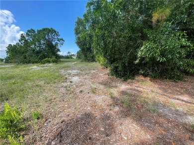 Welcome to Cape Coral FL! Discover the perfect canvas for your - photo 10
