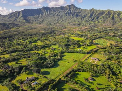 An extraordinary 7.458-acre canvas on Kauai's prestigious North - photo 11
