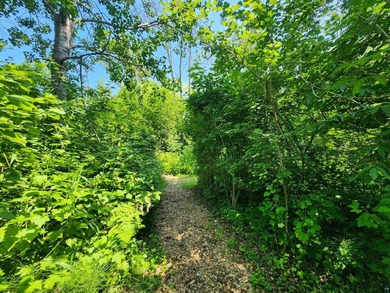 Set on approximately 220 feet of sandy Lake Superior shoreline - photo 49